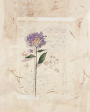 Hydrangea Collage Posters af Linda Casey