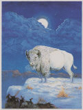 White Bison Posters by M. Caroselli