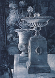 Allium Urns Prints by Esteban Chavez