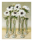 White Anemones Posters by Galley 