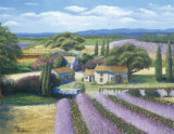Lavender Fields Kunst von Jackie Thompson
