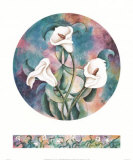 Calla Lilies Posters by Pat Woodworth Calla Lilies Posters by Pat Woodworth