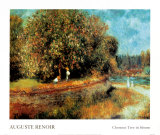 Chestnut Tree in Bloom Posters by Pierre-Auguste Renoir