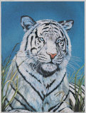 Tiger in Wild Art by Hoss 
