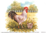 Gallina con cesta Pósters por Peggy Thatch Sibley Gallina con cesta Pósters por Peggy Thatch Sibley