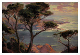 Lonely Headlands, Point Lakes Láminas por Franz Arthur Bischoff
