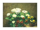 Hydrangea and Pansies Posters by Henri Fantin-Latour