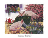 Squeal Barrow Prints