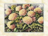 Pink Hydrangea Prints by Peggy Thatch Sibley