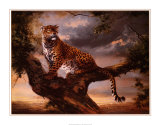 Leopard in Tree Posters by Silvia Duran