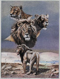 Lion Montage Affiches par Gary Ampel