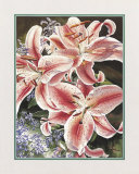 Lilacs and Lilies Prints by Linscott 