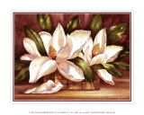 Blossoming Magnolias Prints by Peggy Thatch Sibley