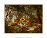 Leopardo con cachorro Láminas por Silvia Duran