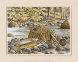 Fresh Catch Print