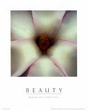 Belleza Posters