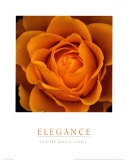 Elegans Affischer
