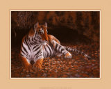 The Tiger's Lair Prints by W. Michael Frye