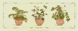Green Plants in Pots Prints by Cappello 