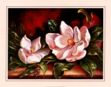 Magnolien auf rotem Grund I Kunstdrucke von Peggy Thatch Sibley