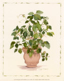 Ivy in a Clay Pot Art by Cappello 