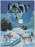Lobos aullando Lámina por Gary Ampel Lobos aullando Lámina por Gary Ampel
