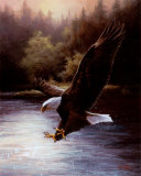 Eagle Prey Art by T. C. Chiu