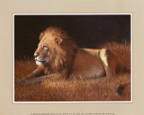 Majestic Lion Posters by W. Michael Frye