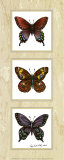 Bright Butterflies Prints by Peggy Thatch Sibley