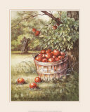 Huerto de manzanas Láminas por Peggy Thatch Sibley Huerto de manzanas Láminas por Peggy Thatch Sibley