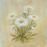 Daisies Prints