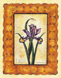 Iris Print by Richard Henson