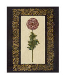 Exotic Botanical II Print