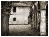 Farmhouse II Posters by Domenico Foschi Farmhouse II Posters by Domenico Foschi