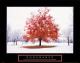 Endurance: Fall Tree Poster by Craig Tuttle