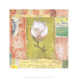 Magnolia Bud Poster by Krista Sheldon Magnolia Bud Poster by Krista Sheldon