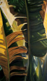 Light through the Banana Leaves Posters by Mary Spears