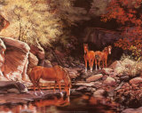 Autumn Blaze Prints by Rusinko 