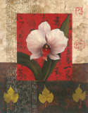 White Chinese Orchid Art by T. C. Chiu