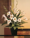 Cala Lillies Arte por T. C. Chiu Cala Lillies Arte por T. C. Chiu