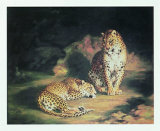 Pair of Leopards Posters by William John Huggins