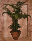 Potted Palm II Prints by T. C. Chiu