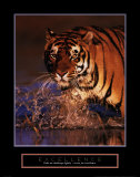 Excelencia: tigre de Bengala Lámina por Stuart Westmoreland Excelencia: tigre de Bengala Lámina por Stuart Westmoreland
