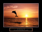 Goals: Dolphins Print van Craig Tuttle Goals: Dolphins Print van Craig Tuttle