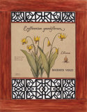 Dogtooth Botanical Prints