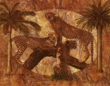 Jonnie Chardonn - Jungle Cheetahs - Poster Jonnie Chardonn - Jungle Cheetahs - Poster
