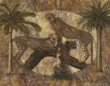 Jungle Cheetahs Print by Jonnie Chardonn