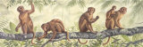 Monkey Time I Prints