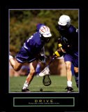 Drive - Lacrosse Láminas Drive - Lacrosse Láminas