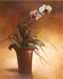 Flowering Orchid I Posters par T. C. Chiu